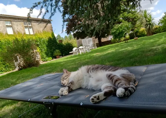 بيت للعطل Mathurine Le Boupère