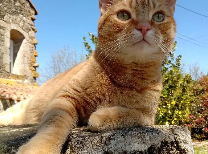 Mathurine בית נופש *